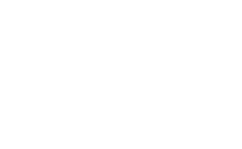 OptimProject